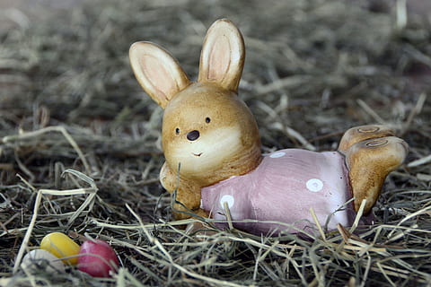 Osterhase, Hase, Ostern, Ostereier, Ei, Zuckereier, Rosa, Gelb, Weiß, Frühling, Heu, Stroh, Osterdekoration, Dekoration, Frohe Ostern, Osterei, zufrieden, Ostergrüße, Osterfeier, Feier, Tier, Urlaub, Kaninchen - Tier, Tierdarstellung, Darstellung, Tierthemen, keine Leute, Natur, Spielzeug, Gras, Säugetier, Figur, Pflanze, Kunst und Handwerk, 4K