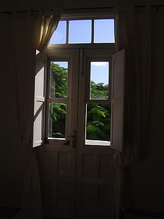 finestra, controluce, cielo, vegetazione, sole, porte, bianca, le tende, Casa, architettura, vetro - materiale, in casa, nessuno, trasparente, giorno, natura, struttura costruita, pianta, costruzione, Aperto, tenda, legno - materiale, luce del sole, telaio della finestra, 1080P, CC0, dominio pubblico, privo di copyright