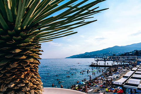 activity, background, bay, beach, beautiful, blue, coast, coastline, day, fun, holiday, horizon, landscape, leisure, man, ocean, outdoors, palm tree, panoramic, people, person, recreation, relaxation, resort, sand, scenery, sea, seascape, seashore, season, summer, sunbathing, sunny, swimming, swimming pool, tourism, tourists, travel, tropical, vacation, view, water, waterfront, sky, nature, travel destinations, beauty in nature, tropical climate, transportation, tree, mountain, land, nautical vessel, scenics - nature, architecture, 5K, CC0, public domain, royalty free
