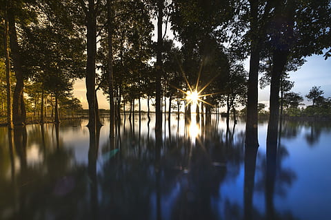 silhouette, trees, beside, calm, body, water, sunset, outdoor, tree, background, nice, natural, green, beauty, sky, full color, plant, travel, spring, season, scenery, outdoors, neck, single, the sun, reflect, impressive, the park, tropical, forest, scene, autumn, scenic, wave, the morning, alone, sunrise, sad, reflection, tranquility, beauty in nature, lake, tranquil scene, scenics - nature, nature, sun, sunlight, no people, growth, idyllic, non-urban scene, waterfront, lens flare, reflection lake, 5K, CC0, public domain, royalty free