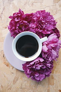 เนื้อไม้, คาเฟอีน, กาแฟ, ถ้วย, มีกลิ่นหอม, กาแฟดำ, ใกล้ชิด, ถ้วยกาแฟ, สี, กาแฟหนึ่งแก้ว, มืด, พฤกษา, ดอกไม้, ในบ้าน, ดอกโบตั๋น, กลีบดอก, สีชมพู, จานรอง, ตาราง, Topview, ทำด้วยไม้, ไม้ดอก, ความสด, ดื่ม, ด้านบนโดยตรง, เครื่องดื่ม, กลีบดอกไม้, ปลูก, ความงามในธรรมชาติ, กาแฟ - ดื่ม, เหยือก, ธรรมชาติ, ความอ่อนแอ, มุมมองมุมสูง, หัวดอกไม้, สีม่วง, ไม่มีคน, จัดดอกไม้, เครื่องถ้วยชาม, ช่อดอกไม้, ชาดำ, 5K, CC0, โดเมนสาธารณะ, ค่าลิขสิทธิ์ฟรี