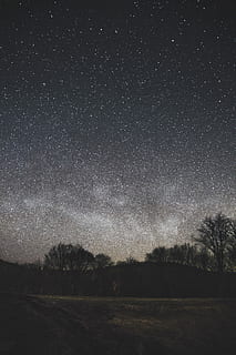 sky, full, stars, sky full of stars, black, blue, fields, gray, hills, night, trees, star - Space, astronomy, galaxy, milky Way, constellation, space, nebula, nature, dark, landscape, planet - Space, star Field, moon, cold temperature, tree, scenics - nature, beauty in nature, tranquility, tranquil scene, star, plant, environment, field, land, idyllic, no people, space and astronomy, 5K, CC0, public domain, royalty free