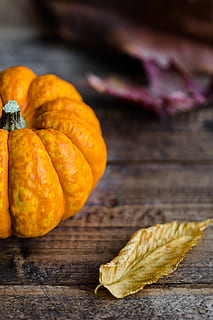 oranje, squash, naast, bruin, droog, blad, pompoen, houten, oppervlakte, herfst, vallen, halloween, dankzegging, oogst, behang, herfst wallpapers, val achtergronden, seizoen, decoratie, hout, rijp, eten en drinken, voedsel, hout - materiaal, tafel, versheid, gezond eten, binnenshuis, welzijn, detailopname, geen mensen, fruit, stilleven, focus op de voorgrond, studio opname, deel van de plant, Oranje kleur, groente, 2K, CC0, publiek domein, royaltyvrij