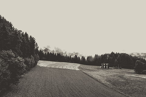 Mai Mult, destinaţie, vedere, punct de vedere, Munte, timp liber, platou, locuri de interes, turism, vacanţă, drumeții, alpinism, natură, parc natural, pădure, câmpuri, peisaj, stâncă, vedere îndepărtată, previziune, munţi, copaci, tiroul de sud, alpin, dolomitele, Italia, nordul Italiei, copac, plantă, cer, liniște, zi, spațiu copie, o scenă liniștită, frumusețe în natură, cer senin, nici o persoana, teren, scenice - natura, mediu inconjurator, în aer liber, camp, creştere, scenă non-urbană, drum, 5K, CC0, domeniu public, fără drepturi de autor