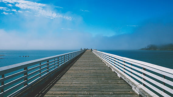 white, wooden, boardwalk, daytime, brown, dock, near, calm, sea, water, pier, blue, sky, ocean, lake, landscape, nature, summer, sunny, sunshine, foggy, day, tranquility, outdoors, scenics, horizon over water, cloud - sky, wood - material, beauty in nature, horizon, scenics - nature, architecture, built structure, holiday, connection, land, travel destinations, no people, 4K, CC0, public domain, royalty free