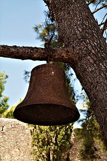 klokke, rusted, gammel, træ, ring, metal, slot, fæstning, Grækenland, Pylos, antik, plante, træstamme, bagagerum, ingen mennesker, fokus på forgrunden, dag, natur, afdeling, udendørs, lav vinkel visning, hængende, himmel, vækst, tæt på, vand, ro, 5K, CC0, offentligt domæne, royaltyfrie