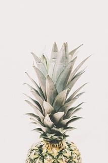 grüne Ananasfrucht, Ananas, Dessert, Vorspeise, Obst, Saft, Studioaufnahme, weißer Hintergrund, drinnen, Tropische Frucht, Essen und Trinken, keine Leute, Blatt, Pflanzenteil, gesundes Essen, Nahansicht, Frische, Wachstum, Lebensmittel, Pflanze, ausgeschnitten, grüne Farbe, kopieren sie platz, Wandbau - Funktion, 5K, CC0, gemeinfrei, lizenzfrei