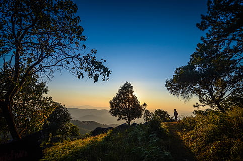 træ, natur, solnedgang, Skov, landskab, naturlig, plante, udendørs, blad, silhuet, vandret, himmel, scenics, ingen mennesker, skønhed i naturen, rolig scene, ro, scenics - natur, vækst, ikke-urbane scene, jord, idyllisk, blå, miljø, skyfri himmel, Mark, 4K, CC0, offentligt domæne, royaltyfrie