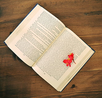llibre, retro, vell, taula, 1970, anglès, flor, romàntic, fusta, ull d'ocell, nostàlgia, material de fusta, vista d’angle alt, a l'interior, cap gent, natura morta, paper, vermell, primer pla, directament a sobre, fruites de baies, frescor, publicació, planta amb flors, patró, maduixa, blanc, dia, 4K, CC0, domini públic, lliure de regalies