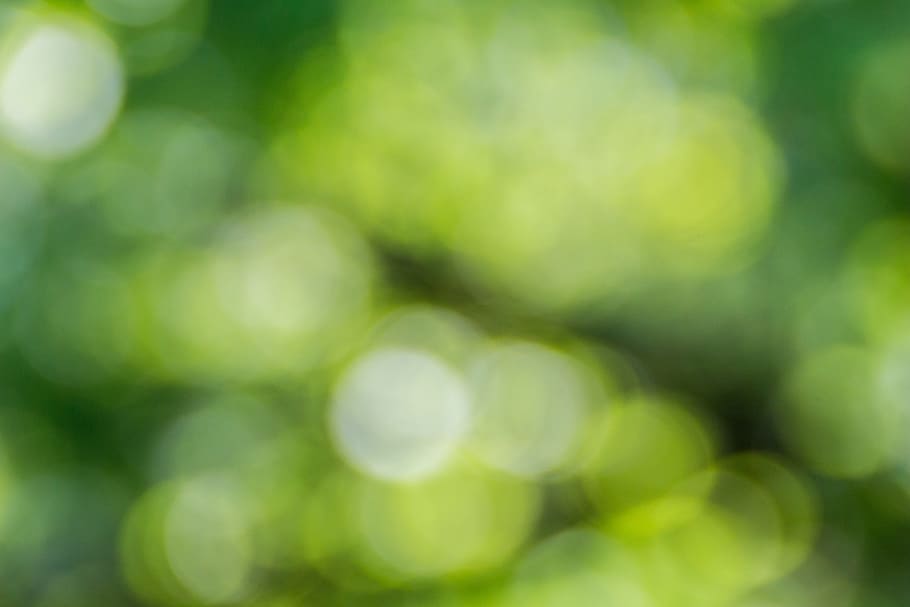 verd, groc, bokeh lleuger, bokeh, defocated, naturalesa, fons, resum, color verd, estiu, patró, primavera, a l'aire lliure, full, frescor, medi ambient, brillant, llum - fenomen natural, efectes fotogràfics, dia, centrar-se en primer pla, cap gent, primer pla, marc complet, planta, bellesa a la natura, enfocament selectiu, menjar i beguda, tranquil·litat, fons abstractes, enfocament suau, 5K