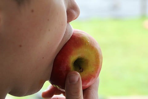 apple, bite, feed, eat, vitamins, bite purely, healthy, food, sweet, delicious, human body part, fruit, human hand, food and drink, hand, healthy eating, wellbeing, one person, close-up, holding, child, apple - fruit, offspring, childhood, freshness, focus on foreground, healthy lifestyle, red, finger, dieting, 5K, CC0, public domain, royalty free