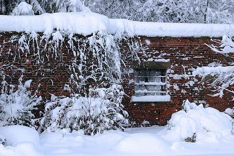 sne, vindue, vinter, kold, sæson, vejr, hvid, mursten, struktur, natur, koldtemperatur, udendørs, frost, træ, is, Skov, kold temperatur, hvid farve, ingen mennesker, dag, ro, Frosset, skønhed i naturen, rolig scene, vand, plante, scenics - natur, dækker, jord, sner, 2K, CC0, offentligt domæne, royaltyfrie