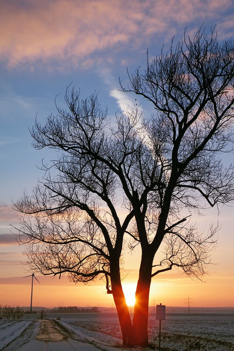posta de sol, hivern, impressions, neu, impressions d'hivern, fred, màgia d'hivern, nevat, arbre nu, escenics, silueta, núvol - cel, naturalesa, cel, arbre, bellesa a la natura, escenics - natura, aigua, mar, planta, tranquil·litat, escena tranquil·la, branca, cap gent, horitzó, terra, color taronja, sol, horitzó sobre l’aigua, a l'aire lliure, planta morta, 4K
