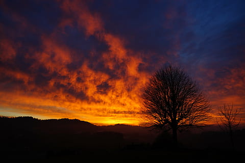 Sonnenuntergang, Baum, ästhetisch, Geäst, Stamm, einsamer Baum, Himmel, abendstimmung, Abendhimmel, feurig, rot, Gelb, Orange, Licht, Gegenlicht, Wolken, bewölkter Himmel, Wolkenglühen, einzeln stehend, individuell, isoliert, glühend, Burstweid, Wyssachen, Schweiz, einzelne Bäume, Silhouette, Natur, szenen, draußen, Landschaft, keine Leute, Nacht-, wolke - himmel, orange Farbe, Pflanze, Schönheit in der Natur, Ruhe, Szenen - Natur, ruhige Szene, kahler Baum, Umgebung, dunkel, Dramatischer Himmel, Dämmerung, romantischer Himmel, 8K, CC0, gemeinfrei, lizenzfrei