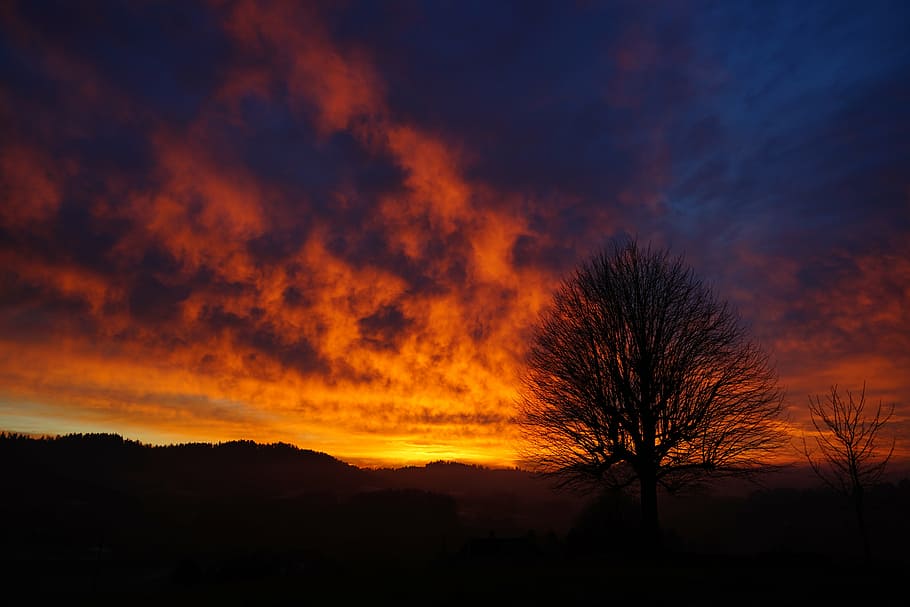 posta de sol, arbre, estètic, branques, tribu, arbre solitari, cel, abendstimmung, cel de la nit, ardent, vermell, groc, taronja, llum, llum de fons, núvols, cel ennuvolat, brillantor del núvol, sola, individualment, aïllat, brillant, burstweid, wyssachen, suïssa, arbres individuals, silueta, naturalesa, escenics, a l'aire lliure, paisatge, cap gent, nit, núvol - cel, color taronja, planta, bellesa a la natura, tranquil·litat, escenics - natura, escena tranquil·la, arbre nu, medi ambient, fosc, cel dramàtic, vespre, cel romàntic, 8K