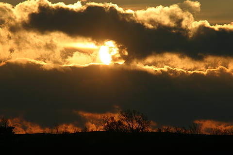 nuvole, sole, nuvoloso, cielo, brillantemente, luce del sole, raggiante, d'oro, giallo, stella, splendente, brillante, orizzonte, silhouette, alberi, sera, crepuscolo, tramonto, drammatico, Cloudscape, tempo metereologico, clima, natura, atmosfera, nuvola - cielo, all'aperto, bellezza nella natura, scenics - natura, ambiente, la tranquillità, scena tranquilla, paesaggio, nessuno, cielo drammatico, idilliaco, raggio di sole, colore arancione, buio, luminosa, 2K, CC0, dominio pubblico, privo di copyright