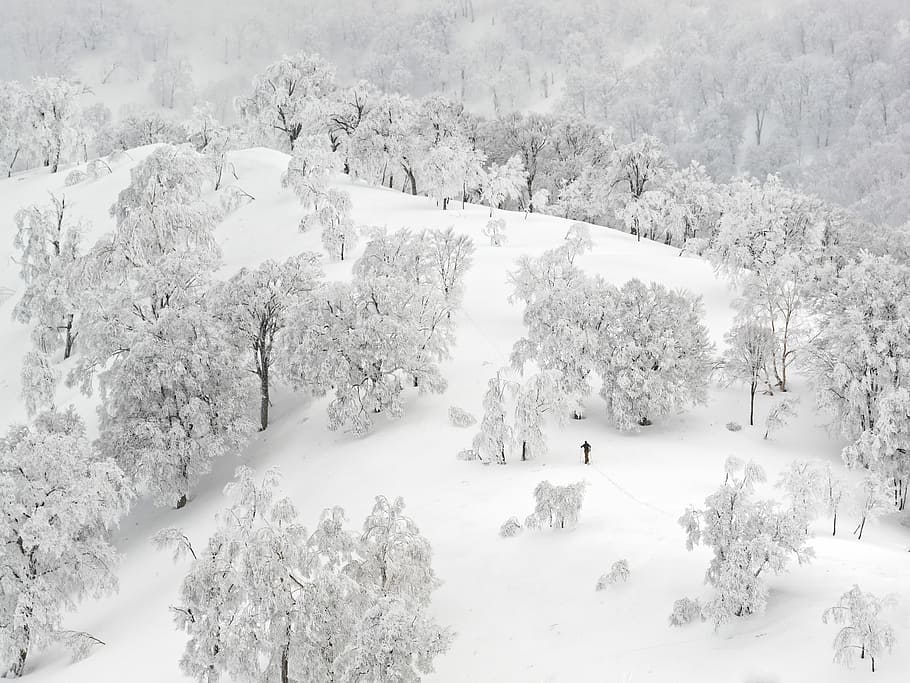Person, Gehen, Gletscherberg, Antenne, Fotografie, Berg, Bäume, bedeckt, Schnee, Baum, Wald, frisch, Weg, Trekking, Pfad, oben, klein, weit, Weiß, Landschaft, kalte Temperatur, Winter, Pflanze, Schönheit in der Natur, ruhige Szene, Abdeckung, Szenen - Natur, Ruhe, Natur, Tag, Nicht-städtische Szene, gefroren, Land, weiße Farbe, keine Leute, draußen, extremes Wetter, schneebedeckter Berg, schneit, 4K