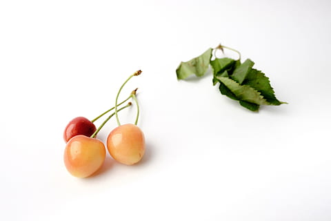 ceri, dan ceri, buah, gila, imut, makanan, cherry amerika, musim semi, daun, makanan dan minuman, makan sehat, kesejahteraan, kesegaran, sayur-mayur, tembakan studio, makanan mentah, memotong, latar belakang putih, tidak ada orang, sekelompok objek, dalam ruangan, gaya hidup sehat, merapatkan, menyalin ruang, bagian tanaman, organik, matang, camilan, diet, Makanan vegetarian, 4K, CC0, domain publik, bebas royalti