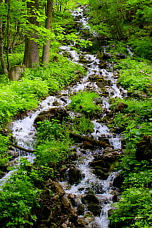 vandfald, vand, klar, flyde, sten, farvande, natur, lempelse, bjerge, landskab, bach, Skov, flydende vand, strøm - rindende vand, skønhed i naturen, plante, downloading, bevægelse, træ, jord, scenics - natur, klippe, dag, ingen mennesker, sløret bevægelse, flyder, solid, grøn farve, udendørs, regnskov, løbende vand, 4K, CC0, offentligt domæne, royaltyfrie