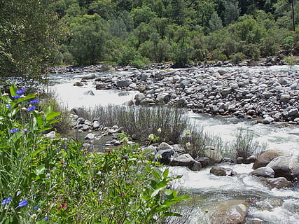 agua, rio, corrente, panorama, natural, angra, beleza, ao ar livre, rio que flui, meio Ambiente, parque, lindo, natureza, cênico, floresta, rock - objeto, verão, montanha, scenics, plantar, árvore, beleza na natureza, scenics - natureza, crescimento, água corrente, Rocha, tranquilidade, dia, terra, ninguém, sólido, fluindo, córrego - água corrente, poder na natureza, 2K, CC0, domínio público, royalty free