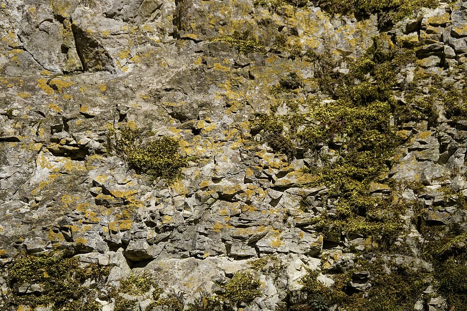 Struktur, Kalkstein, Rock, Moos, Verschmutzung, bewachsen, Textur, Hintergrund, Stein, Natur, Tag, keine Leute, Vollbild, solide, Rock - Objekt, Schönheit in der Natur, Wachstum, Pflanze, Hintergründe, draußen, Wasser, texturiert, High Angle View, Nahansicht, Ruhe, Stein - Objekt, Rau, Flechte, 5K
