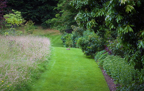 Hase, grüner Weg, Pfad, Gardens, Wales, Pflanze, grüne Farbe, Gras, Baum, Wachstum, Schönheit in der Natur, Natur, Ruhe, Tag, ruhige Szene, Land, keine Leute, Fußweg, draußen, Szenen - Natur, üppiges Laub, Laub, Landschaft, blühende Pflanze, idyllisch, 4K, CC0, gemeinfrei, lizenzfrei