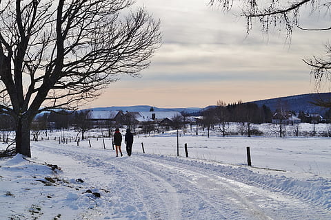 winter, snow, path, road, snowy, frost, icy, mountains, cold temperature, bare tree, tree, sky, beauty in nature, nature, scenics - nature, real people, mountain, plant, lifestyles, covering, field, land, tranquil scene, cloud - sky, rear view, outdoors, snowcapped mountain, warm clothing, extreme weather, 2K, CC0, public domain, royalty free