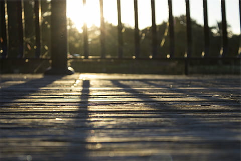 Senza titolo, Basso, angolo, fotografia, grigio, di legno, pavimento, crepuscolare, raggi, legna, ponte, ringhiera, tramonto, ombre, cortile, luce del sole, foresta, albero, ombra, nessuno, giorno, natura, all'aperto, avvicinamento, legno - materiale, messa a fuoco selettiva, livello di superficie, cielo, pianta, sole, soleggiato, riflesso lente, la tranquillità, direzione, 1080P, CC0, dominio pubblico, privo di copyright