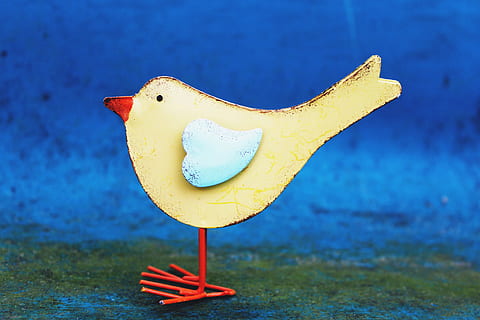 lukisan cewek kuning, burung, musim semi, deco, dekoratif, dekorasi, frühlingsanfang, Latar Belakang, biru, hewan, imut, objek tunggal, makanan dan minuman, merapatkan, buah, tidak ada orang, makanan, kuning, perwakilan, fokus pada latar depan, representasi hewan, hari, humor, menyenangkan, air, di luar rumah, alam, tanah, seni dan kerajinan, kreativitas, pencairan, godaan, berwarna pirus, 4K, CC0, domain publik, bebas royalti