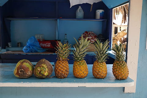 nanas, bar, karibia, kesegaran, makanan dan minuman, makanan, makan sehat, kesejahteraan, buah, pengaturan, tidak ada orang, masih hidup, dijual, hari, bersebelahan, dalam ruangan, buah tropis, eceran, jendela, transparan, bahan kaca, tampilan ritel, baki, 5K, CC0, domain publik, bebas royalti