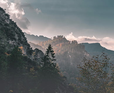 fog over mountains, scenery, forest, mountain, rock, cloud, sky, sunset, tree, woodland, beauty in nature, plant, scenics - nature, cloud - sky, tranquility, tranquil scene, no people, nature, mountain range, idyllic, non-urban scene, growth, fog, environment, land, remote, outdoors, coniferous tree, 4K, CC0, public domain, royalty free