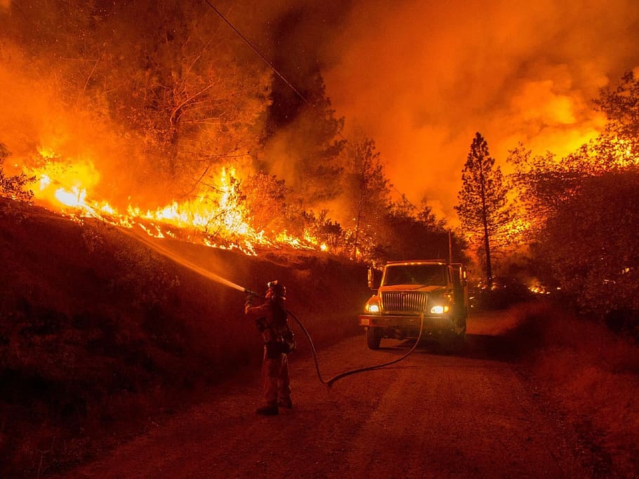 wildfire, pompiere, fuoco, fiamme, caldo, ardente, calore, pericoloso, autopompa, camion, tubo flessibile, acqua, sfolgorante, natura selvaggia, strada, foresta, Fumo, notte, mezzi di trasporto, modo di trasporto, fuoco - fenomeno naturale, fiamma, veicolo terrestre, incidenti e disastri, occupazione, calore - temperatura, natura, manichetta antincendio, fumo - struttura fisica, una persona, veicolo a motore, lavoro, auto, spruzzatura, soccorritore, 1080P