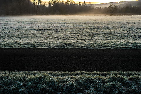 svart, vei, hvit, brun, gress, på tvers, skogfoto, solnedgang, grønn, gressfelt, dagtid, frost, vinter, kald, tåke, frossen, felt, natur, morgen, landsbygda, sti, soloppgang, ze, is, anlegg, ro, rolig scene, skjønnhet i naturen, ingen folk, land, dag, sollys, naturskjønnhet - natur, landskap, miljø, utendørs, tre, himmel, idylliske, vekst, 4K, CC0, offentlig domene, opphavsrett gratis