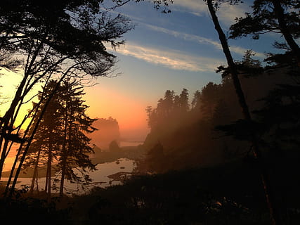 green, trees, body, water, ruby beach, beach, sea, washington, national, nature, ocean, park, olympic, shore, pacific, sky, state, northwest, nobody, stack, coast, sunset, landscape, coastline, usa, outdoor, dusk, reflection, scenic, america, tourism, sand, blue, sun, seascape, shoreline, fog, horizon, coastal, scene, tranquil, cliff, calm, rocks, tide, clouds, orange, light, color, beaches, west, bay, shimmer, mist, island, floating, ethereal, golden, summertime, summer, travel, vacation, western, laguna, secret, romantic, forest, view, rocky, tree, plant, beauty in nature, tranquility, tranquil scene, silhouette, scenics - nature, growth, no people, non-urban scene, land, cloud - sky, sunlight, idyllic, outdoors, orange color, 2K, CC0, public domain, royalty free
