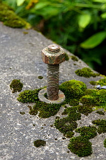 Nuss, Bolzen, Fäden, Klammer, alt, moosig, keine Leute, Tag, Metall, Natur, draußen, Pflanze, Moos, rostig, Nuss - Verschluss, Nahansicht, selektiver Fokus, solide, Schraube, Rock - Objekt, Rock, Fokus auf den Vordergrund, texturiert, Wachstum, Gras, Gartenarbeit, 4K, CC0, gemeinfrei, lizenzfrei
