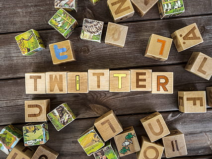 twitter, tre, brev, blokkere, dekor, brun, flate, blokker, logo, internett, sosial, media, som, tommel opp, leketøy, kvitring, torget, symbol, cube, tre - materiale, stor gruppe gjenstander, innendørs, ingen folk, rett over, tekst, høy vinkel visning, bord, valg, variasjon, overflod, leketøy blokk, tregulv, gulv, design, hjemlige rom, stilleben, ordning, hjem interiør, trekorn, parkettgulv, budskap, 4K, CC0, offentlig domene, opphavsrett gratis