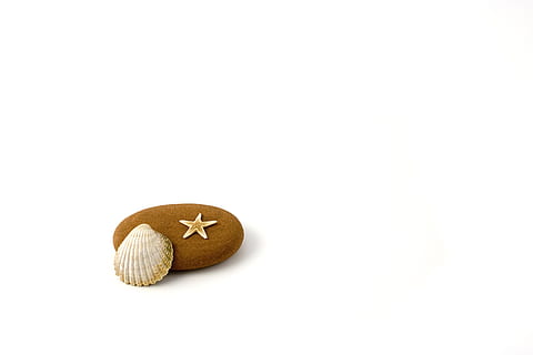 muslingeskal, oval, Brun, sten-, hvid, overflade, stjerne, fisk, strandede, strand, vand, kyst, skaldyr, dyr, sommer, søstjerne, marine, ocean, form, dyreliv, hav, natur, udendørs, kysten, kopiere plads, hvid baggrund, studio skud, mad, stilleben, mad og drikke, indendørs, ingen mennesker, skåret ud, sund kost, frugt, tæt på, velvære, gruppe af objekter, friskhed, tre objekter, sødt mad, høj vinkel visning, to objekter, 2K, CC0, offentligt domæne, royaltyfrie