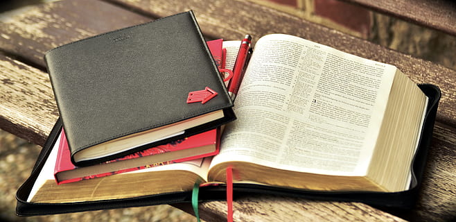 opened, books, two, closed, top, book, read, bible, study, notes, leave, pages, book pages, learn, literature, text, bible study, education, pitched, information, cover, know, reading, publication, paper, indoors, no people, still life, diary, open, wisdom, learning, close-up, page, high angle view, table, group of objects, hardcover book, activity, old, textbook, studying, 4K, CC0, public domain, royalty free