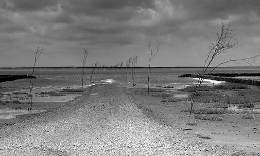 storm, leegte, hemel, wolk - lucht, water, land-, natuur, kalmte, schoonheid in de natuur, zee, strand, scenics - natuur, geen mensen, rustige scène, dag, richting, de weg vooruit, vervoer, buitenshuis, zand, 2K, CC0, publiek domein, royaltyvrij