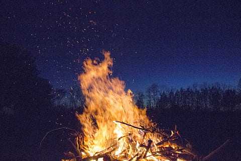 bonfire, silhouette, trees, distant, bonfire during nighttime, fire, flame, campfire, burning, fire - natural phenomenon, heat - temperature, night, motion, tree, nature, glowing, camping, sky, land, long exposure, wood, no people, blurred motion, log, outdoors, 5K, CC0, public domain, royalty free