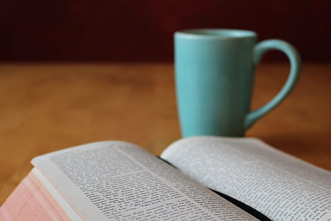 white, printing paper, teal, ceramic, mug, bible, study, coffee, cup, religion, christianity, christian, reading, studying, faith, book, open book, publication, coffee cup, paper, indoors, coffee - drink, drink, education, text, learning, food and drink, open, no people, close-up, table, textbook, 5K, CC0, public domain, royalty free