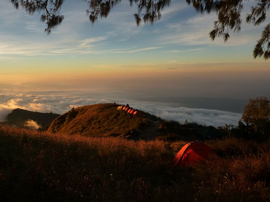 pták, Foto pohled, hora, lůžko, mraky, vrchol, summitu, tábor, kempování, táborníci, stany, Příroda, krajina, dom, úspěch, horní, dobrodružství, turistika, vysoký, venkovní, vrcholek hory, motivace, dovolená, nebe, západ slunce, krása v přírodě, scén, klidné scény, klid, nikdo, mrak - nebe, scenics - příroda, rostlina, oranžová barva, životní prostředí, strom, mimoměstské scény, přistát, růst, idylický, pole, venku, 2K