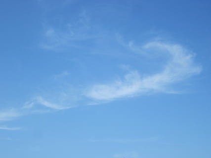 bianca, nuvole, cielo, primavera, forma di nuvole, blu, nuvole scure, nubi cumuliformi, tempo metereologico, umore, bellissimo, sopra le nuvole, nuvoloso, luminosa, volo, giorno d'estate, paesaggio, natura, estate, riposo, rilassamento, dormire, idillio, armonia, nuvola bianca, wolkentier, figura nuvola, frühlingsanfang, vivere, inferno, calore, cielo incontra, immagine di sfondo, silenzioso, colore, vacanze, Lichtspiel, vacanza, luce, meditazione, romantico, atmosfera, largo, atmosferico, umore del tempo, illuminazione, mistico, solitudine, solo, solitario, leggero, fantastico, gioco misterioso, meraviglie, vestito di primavera, romanza, incantata, nuvola - cielo, sfondi, nessuno, bellezza nella natura, ambiente, vento, giorno, scenics - natura, Colore bianco, copia spazio, la tranquillità, scena tranquilla, all'aperto, meteorologia, pulito, wispy, 2K, CC0, dominio pubblico, privo di copyright