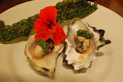 ostra, aperitiu, marisc, gourmet, crua, shell, saludable, frescor, fresc, llimona, saborós, cuina, deliciós, fred, llest per menjar, menjar i beguda, a l'interior, menjar, primer pla, alimentació saludable, natura morta, placa, benestar, menjar asiàtic, cap gent, mida de la porció, vista d’angle alt, decorar, indulgència, vegetals, temptació, dumpling, menjar xinès, plat de servei, menjar japonès, 4K, CC0, domini públic, lliure de regalies