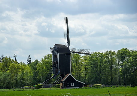mill, landscape, netherlands, plant, tree, cloud - sky, sky, architecture, nature, green color, built structure, environment, renewable energy, alternative energy, fuel and power generation, day, environmental conservation, turbine, land, no people, grass, wind turbine, wind power, outdoors, 4K, CC0, public domain, royalty free