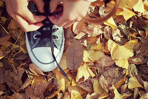 persona, legando, nero, bianca, conversare, star sneaker, bianco e nero, Converse All Star, sneaker, autunno, foglia, all'aperto, natura, giallo, una persona, stagione, parco - spazio creato dall'uomo, foresta, persone, immagine a colori, parte del corpo umano, adulto, parte vegetale, modificare, le foglie, parte del corpo, vista dall'alto, persone reali, sezione bassa, asciutto, giorno, scarpa, gamba umana, stili di vita, donne, attività di svago, mano, arto umano, piede umano, foglia di acero, collezione autunnale, 1080P, CC0, dominio pubblico, privo di copyright