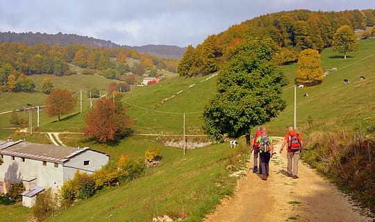 escursione, camminare, pista, montagna, autunno, il percorso europeo, e5, Lessinia, Italia, paesaggio, pianta, albero, natura, ambiente, scenics - natura, scena rurale, architettura, costruzione, persone, terra, a piedi, cielo, bellezza nella natura, strada, adulto, struttura costruita, all'aperto, modificare, 5K, CC0, dominio pubblico, privo di copyright