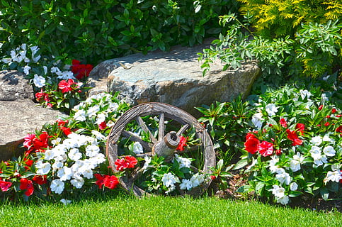 Blumen, Natur, Zusammensetzung, Frühling, Holzrad, Pflanze, Blume, blühende Pflanze, Wachstum, Schönheit in der Natur, Gras, Tag, keine Leute, Frische, Zerbrechlichkeit, grüne Farbe, Vorder- oder Hinterhof, Verletzlichkeit, Garten, draußen, formaler Garten, Sonnenlicht, Feld, solide, Ziergarten, 4K, CC0, gemeinfrei, lizenzfrei