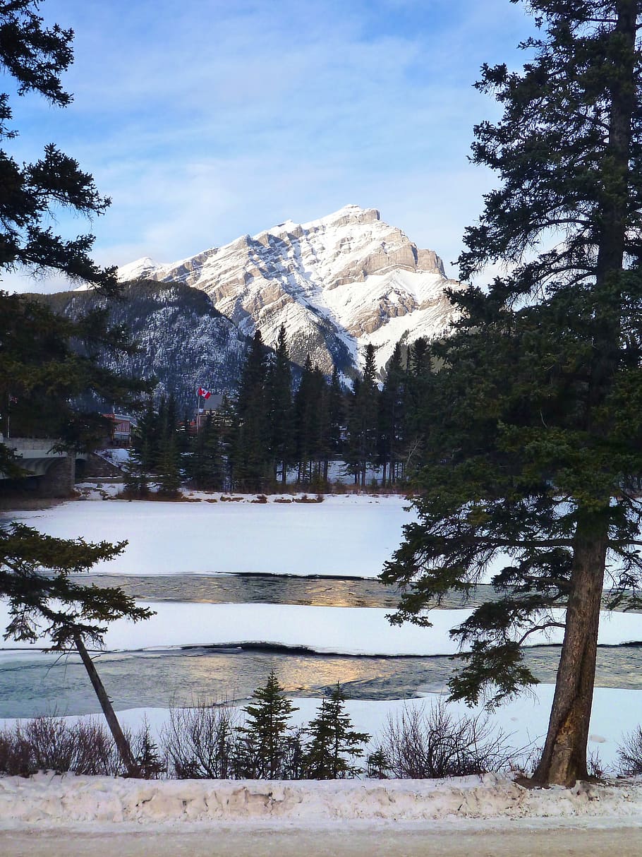 Banff, peisaj, iarnă, rece, peisaj de iarnă, copaci, munţi, zăpadă, vârf, Munte, copac, Brad, scenics, de munte, plantă, frumusețe în natură, temperatura rece, liniște, o scenă liniștită, scenice - natura, cer, apă, nici o persoana, natură, scenă non-urbană, zi, lac, în aer liber, un munte acoperit de zăpadă, 4K