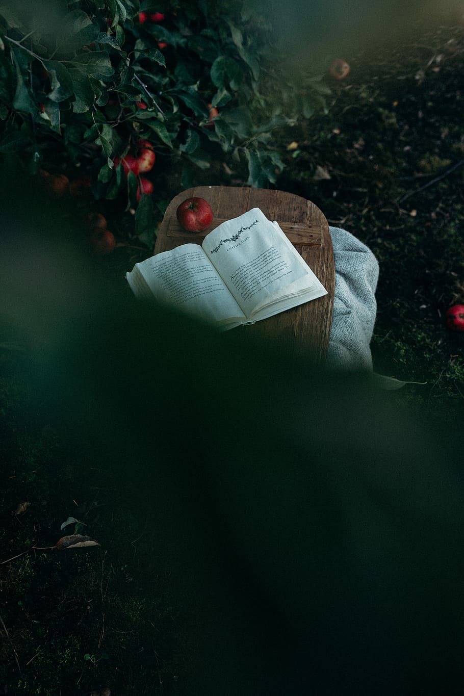 Mela, Marrone, tavola, accanto, libro, ha aperto, rosso, tavolo, scatola, gabbia, coperta, albero, frutteto, frutta, pagina, Aperto, testo, foglia, autunno, pubblicazione, lettura, pianta, una persona, natura, carta, attività, giorno, adulto, attività di svago, stili di vita, persone reali, terra, all'aperto, detenzione, crescita, foresta, 5K